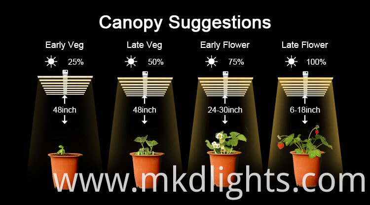 commercial grow lights for a greenhouse